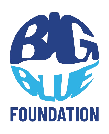 The Sports Trust - Big Blue Foundation